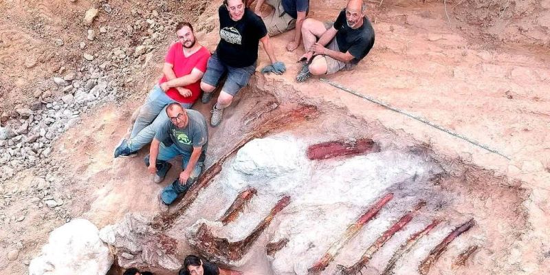 Fóssil de megadinossauro é encontrado no quintal de casa em Portugal - UOL